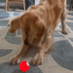 WREE® 🐶🐱🎉Studsboll med ultralång batteritid - Tillverkad av högpresterande, miljövänligt TPE-material, tillräckligt hållbart för att motstå tuggning av husdjur, vilket garanterar oändligt kul!