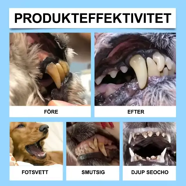 【𝐎𝐟𝐟𝐢𝐜𝐢𝐞𝐥𝐥 𝐛𝐮𝐭𝐢𝐤】 🐕‍🦺🐱 𝐃𝐢𝐚𝐩𝐚𝐬𝐨𝐧® 𝐦𝐮𝐧𝐯å𝐫𝐝𝐬𝐬𝐩𝐫𝐚𝐲 𝐟ö𝐫 𝐡𝐮𝐬𝐝𝐣𝐮𝐫𝐬 𝐭ä𝐧𝐝𝐞𝐫 & 𝐦𝐚𝐭𝐬𝐦ä𝐥𝐭𝐧𝐢𝐧𝐠𝐬𝐡ä𝐥𝐬𝐚 – 𝐅𝐫ä𝐬𝐤𝐚𝐫𝐞 𝐚𝐧𝐝𝐞𝐝𝐫ä𝐤𝐭, 𝐦𝐢𝐧𝐝𝐫𝐞 𝐩𝐥𝐚𝐜𝐤 𝐨𝐜𝐡 𝐬𝐭ö𝐝 𝐟ö𝐫 𝐭𝐚𝐧𝐝𝐤ö𝐭𝐭𝐬𝐫𝐞𝐠𝐞𝐧𝐞𝐫𝐞𝐫𝐢𝐧𝐠 (𝐟ö𝐫 𝐤𝐚𝐭𝐭𝐞𝐫 𝐨𝐜𝐡 𝐡𝐮𝐧𝐝𝐚𝐫) – 𝐒𝐩𝐚𝐫𝐚 𝐮𝐩𝐩 𝐭𝐢𝐥𝐥 𝟓𝟎% 𝐢𝐝𝐚𝐠! 🔥