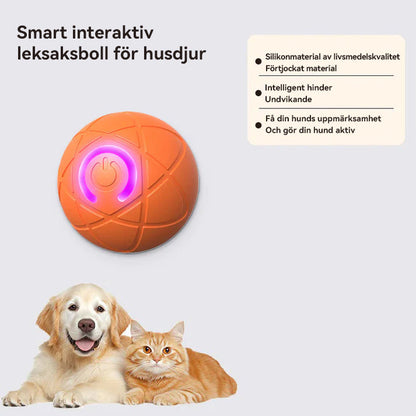WREE® 🐶🐱🎉Studsboll med ultralång batteritid - Tillverkad av högpresterande, miljövänligt TPE-material, tillräckligt hållbart för att motstå tuggning av husdjur, vilket garanterar oändligt kul!