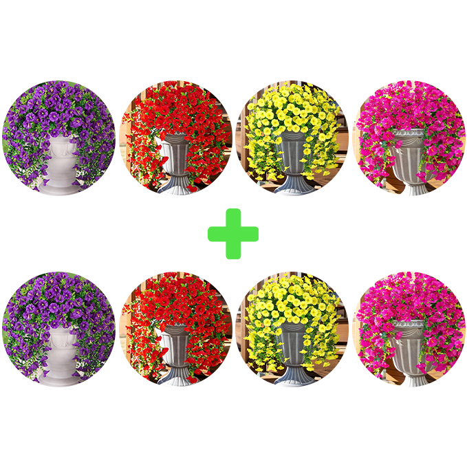 8 flaskor – kr64.37/Flaska Bästa värde 🌸
