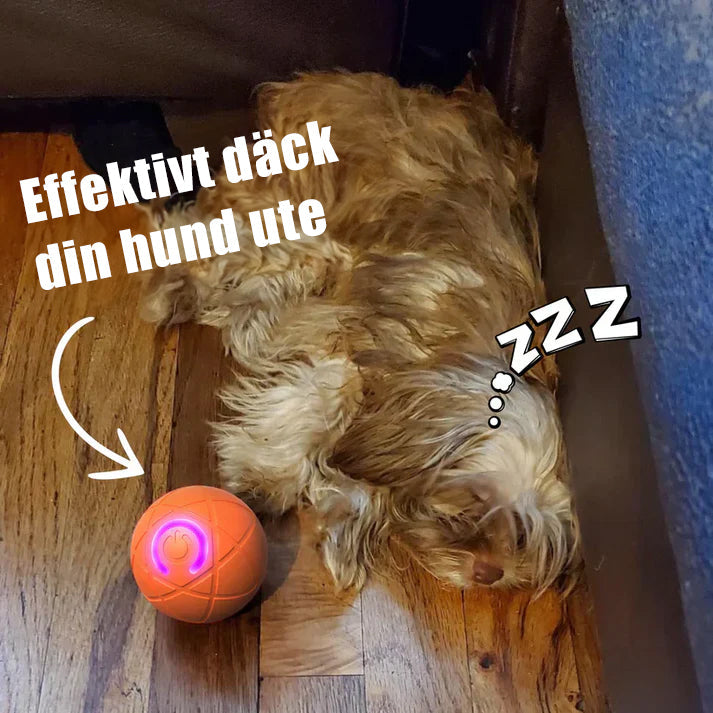 WREE® 🐶🐱🎉Studsboll med ultralång batteritid - Tillverkad av högpresterande, miljövänligt TPE-material, tillräckligt hållbart för att motstå tuggning av husdjur, vilket garanterar oändligt kul!