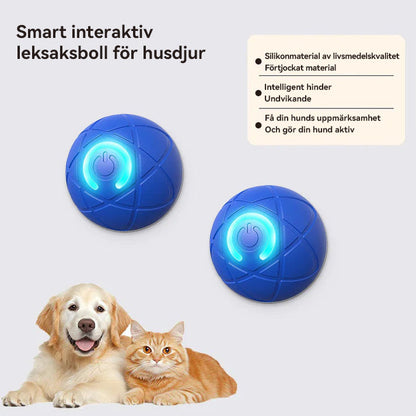 WREE® 🐶🐱🎉Studsboll med ultralång batteritid - Tillverkad av högpresterande, miljövänligt TPE-material, tillräckligt hållbart för att motstå tuggning av husdjur, vilket garanterar oändligt kul!