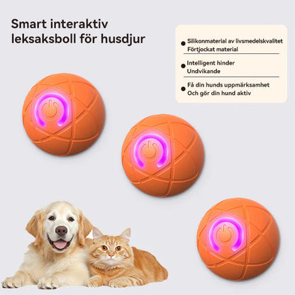 WREE® 🐶🐱🎉Studsboll med ultralång batteritid - Tillverkad av högpresterande, miljövänligt TPE-material, tillräckligt hållbart för att motstå tuggning av husdjur, vilket garanterar oändligt kul!