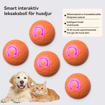 WREE® 🐶🐱🎉Studsboll med ultralång batteritid - Tillverkad av högpresterande, miljövänligt TPE-material, tillräckligt hållbart för att motstå tuggning av husdjur, vilket garanterar oändligt kul!