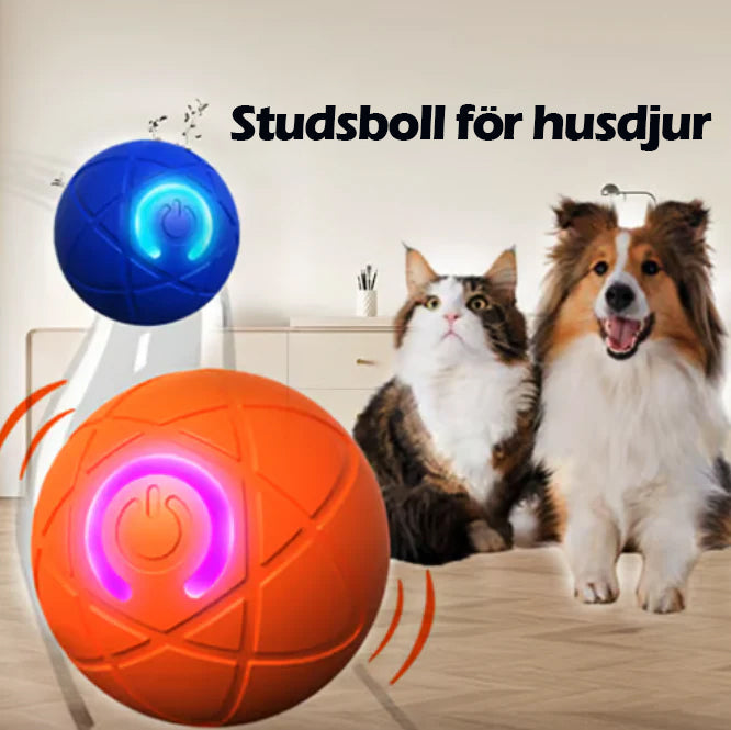 WREE® 🐶🐱🎉Studsboll med ultralång batteritid - Tillverkad av högpresterande, miljövänligt TPE-material, tillräckligt hållbart för att motstå tuggning av husdjur, vilket garanterar oändligt kul!