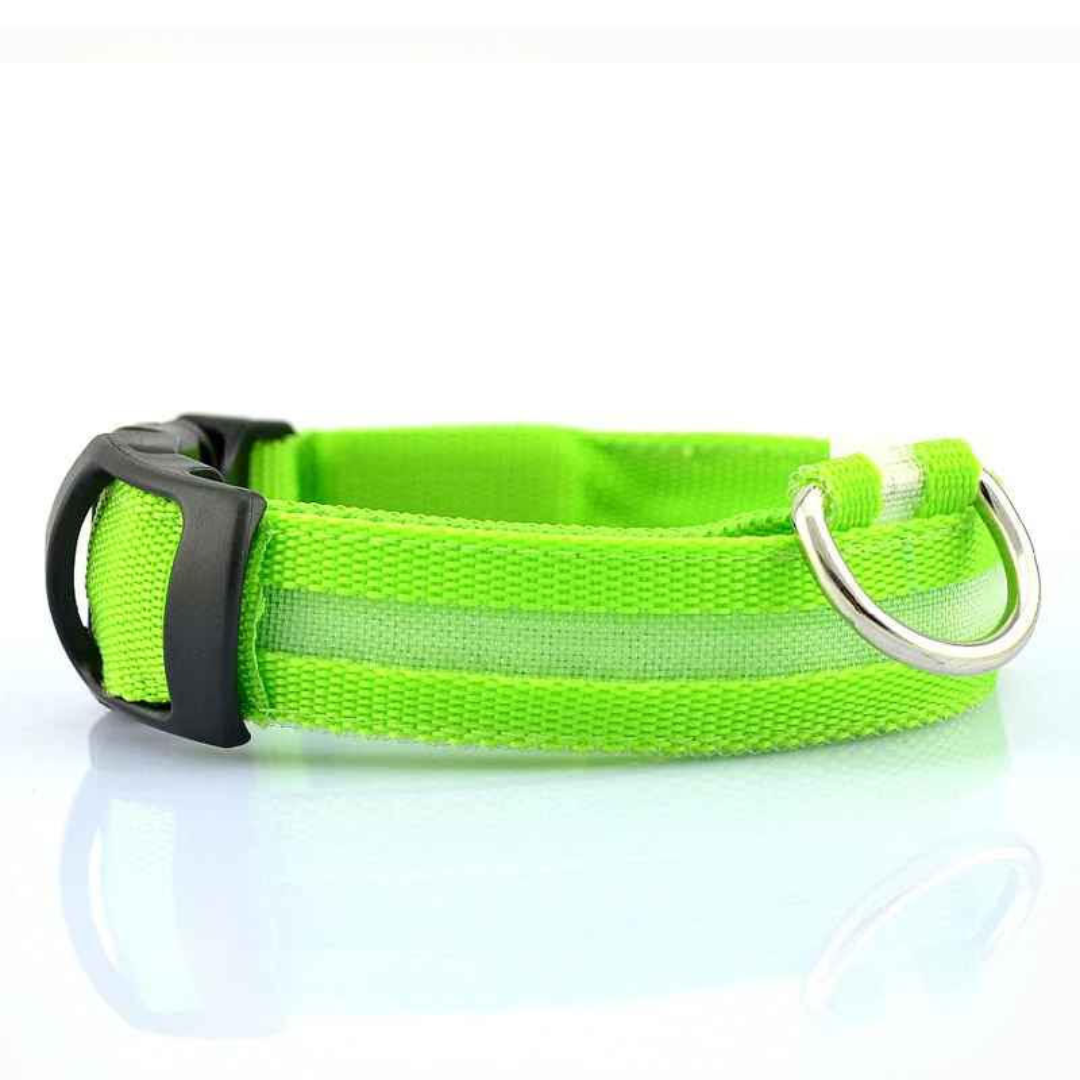 WREE® LED2025 Laddningsbart Ljus-halsband för Husdjur – Julens Tillfälliga Erbjudande: 50% Rabatt🔥