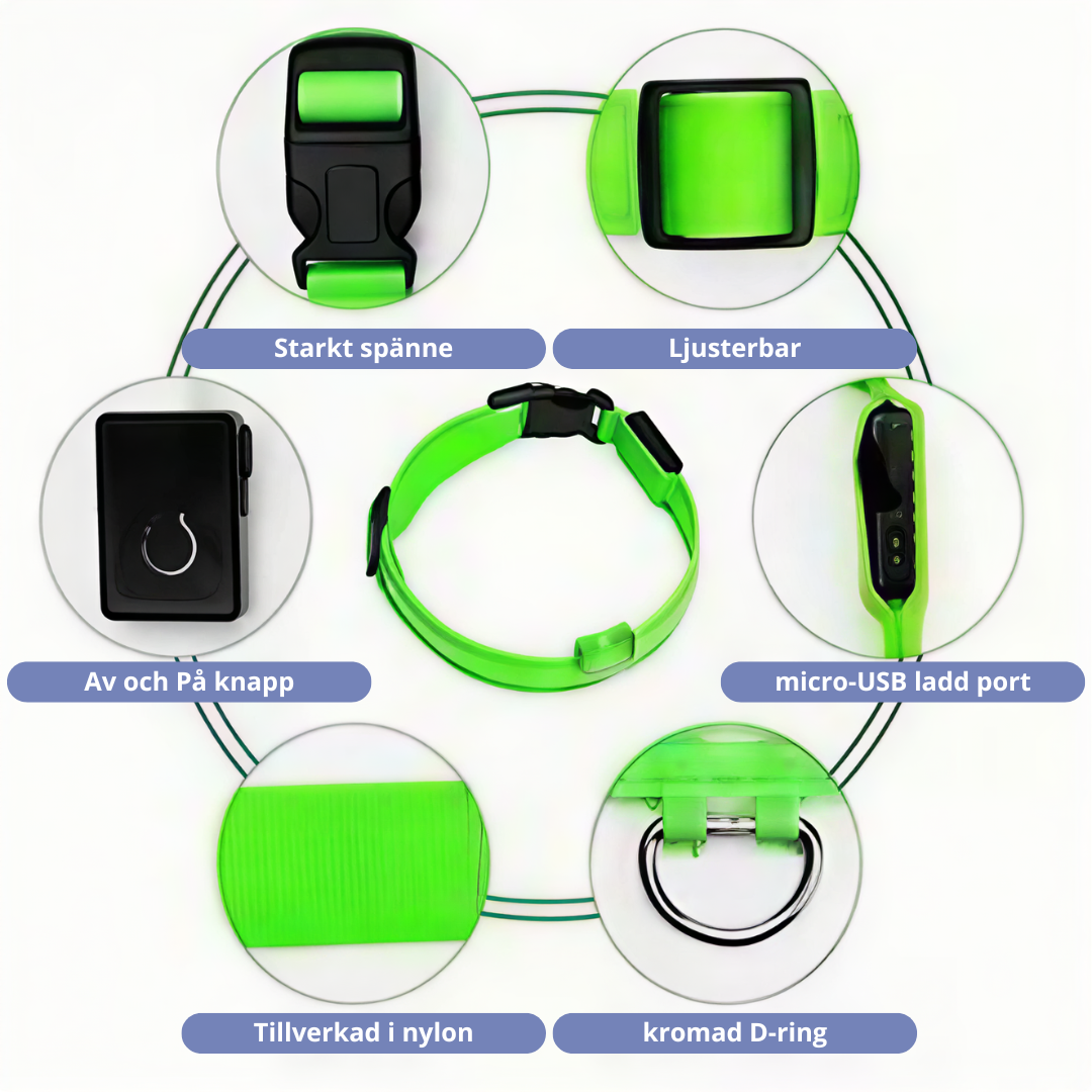 WREE® LED2025 Laddningsbart Ljus-halsband för Husdjur – Julens Tillfälliga Erbjudande: 50% Rabatt🔥