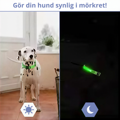 WREE® LED2025 Laddningsbart Ljus-halsband för Husdjur – Julens Tillfälliga Erbjudande: 50% Rabatt🔥